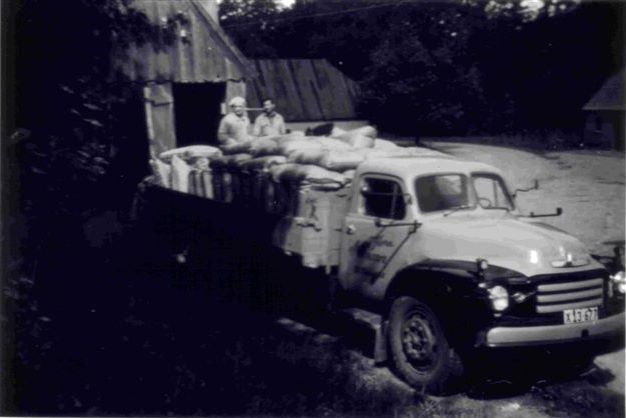 30.jpg (large)