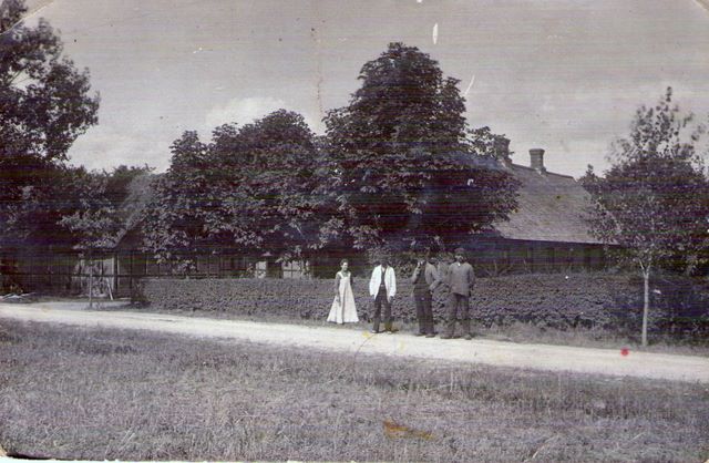 img045.jpg (large)